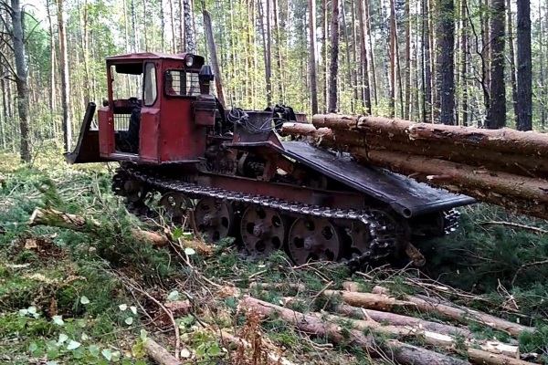 Трелевщик